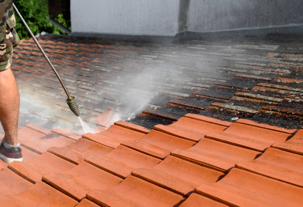 Best Pressure Washing Driveway  in Redgranite, WI